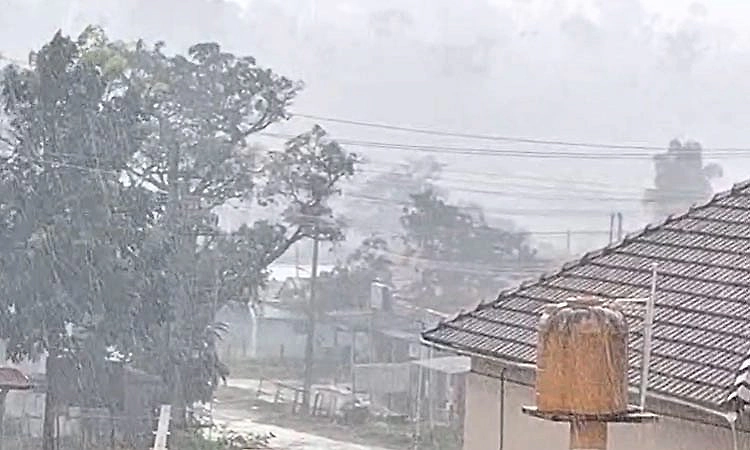 Chikkamagaluru: ಕಾಫಿನಾಡ ಮಲೆನಾಡು ಭಾಗದಲ್ಲಿ ಭಾರೀ ಗಾಳಿ- ಮಳೆ