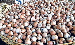 Sulya: ಬೈತಡ್ಕ ತೋಟದ ಮನೆಯಲ್ಲಿ ಅಡಿಕೆ, ರಬ್ಬರ್ ಕಳವು