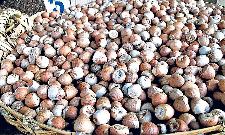 Sulya: ಬೈತಡ್ಕ ತೋಟದ ಮನೆಯಲ್ಲಿ ಅಡಿಕೆ, ರಬ್ಬರ್ ಕಳವು