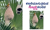 Sparrow: ಕಣ್ಮರೆಯಾಗುತ್ತಿರುವ ಗುಬ್ಬಚ್ಚಿ ಕಲರವ