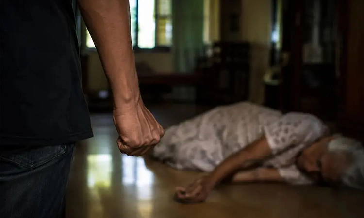 ಹಣ ನೀಡಲು ನಿರಾಕರಿಸಿದ ವೃದ್ಧೆಯ ಕೊ*ಲೆ: 17 ವರ್ಷದ ಬಾಲಕನ ಬಂಧನ!