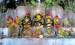 Nagara Panchami: ಪ್ರಕೃತಿಯ ಶಕ್ತಿಯಲ್ಲಿ ದೈವತ್ವವನ್ನು ಕಾಣುವ ಸಂಕೇತ ನಾಗಾರಾಧನೆ