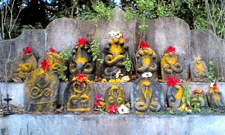 Nagara Panchami: ಪ್ರಕೃತಿಯ ಶಕ್ತಿಯಲ್ಲಿ ದೈವತ್ವವನ್ನು ಕಾಣುವ ಸಂಕೇತ ನಾಗಾರಾಧನೆ