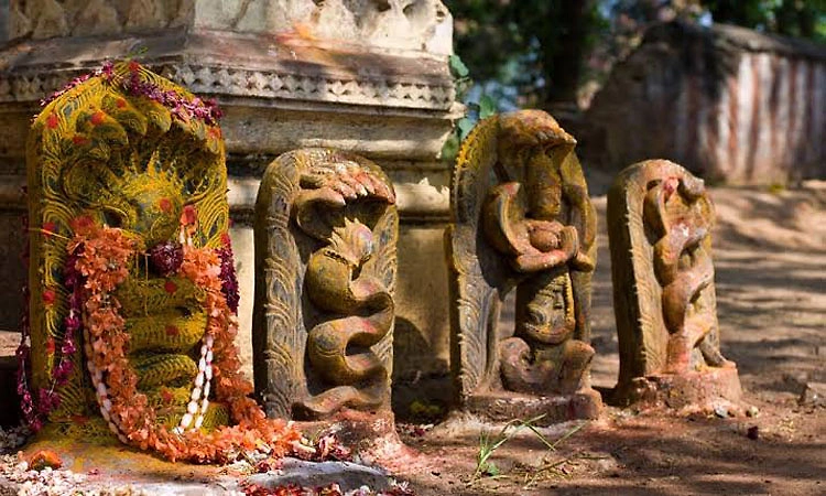 Nagara Panchami- ಪ್ರಕೃತಿಯೊಡನೆ ಹಸಿರು ಬದುಕಿನ ಪವಿತ್ರ ಆಚರಣೆ