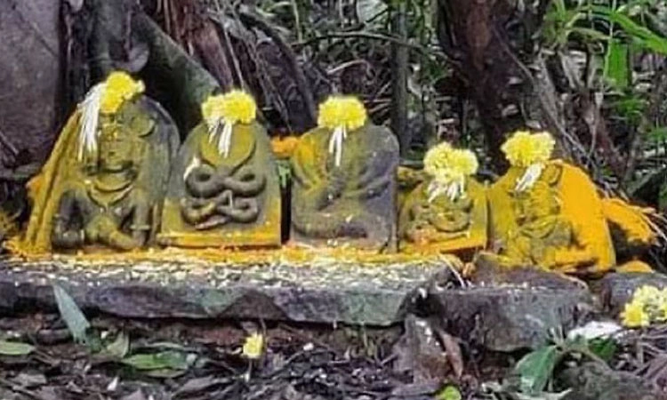 ನಾಗರಪಂಚಮಿ: ಆಗಸ್ಟ್ 17 ರಂದು ಉಡುಪಿ, ದಕ್ಷಿಣ ಕನ್ನಡ ಜಿಲ್ಲೆಗೆ ಸಾರ್ವತ್ರಿಕ ರಜೆ ಘೋಷಣೆ