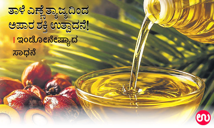 ತಾಳೆ ಎಣ್ಣೆ ತ್ಯಾಜ್ಯದಿಂದ ಅಪಾರ ಶಕ್ತಿ ಉತ್ಪಾದನೆ! ಇಂಡೋನೇಷ್ಯಾದ ಸಾಧನೆ