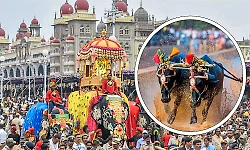 Mysuru Dasara: Kambala buffaloes put on a thrilling show, draw huge crowds