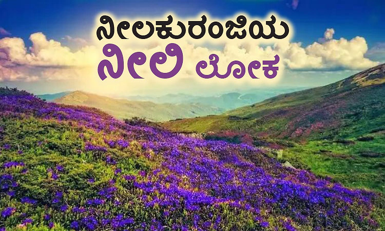Neelakurinji: ನೀಲಕುರಂಜಿಯ ನೀಲಿ ಲೋಕ