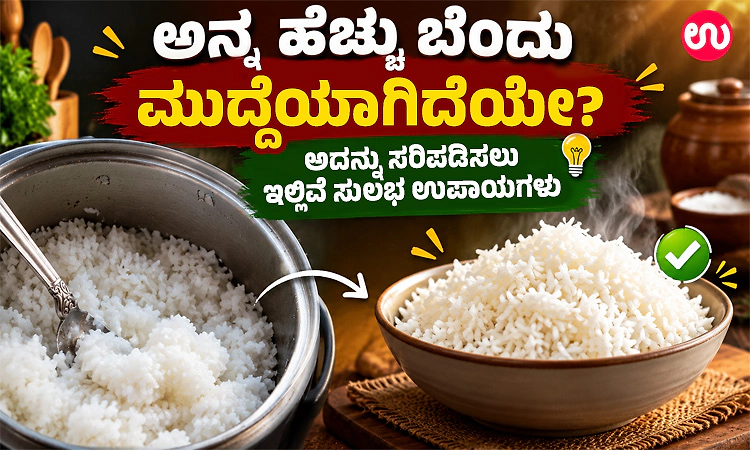 ಅನ್ನ ಹೆಚ್ಚು ಬೆಂದು ಮುದ್ದೆಯಾಗಿದೆಯೇ? ಅದನ್ನು ಸರಿಪಡಿಸಲು ಇಲ್ಲಿವೆ ಸುಲಭ ಉಪಾಯಗಳು