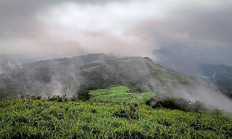 Elephant movement forces temporary closure of two major trekking paths in Kudremukh