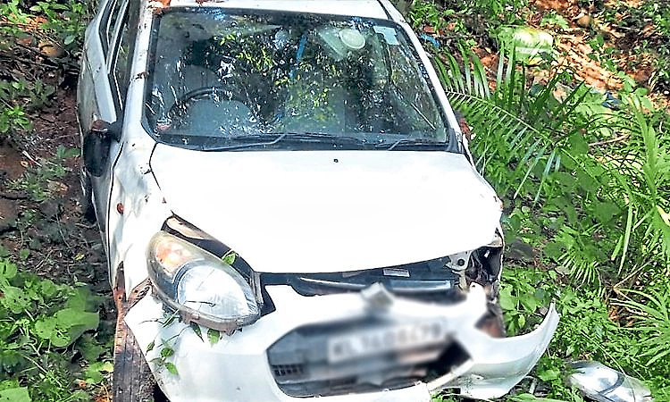 Sullia: Wild boar suddenly jumps onto road, causing car to skid off road