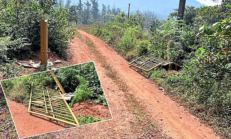 Kottigehara–Charmadi;ಅಡ್ಡದಾರಿಗೆ ಅಳವಡಿಸಿದ್ದ ಭದ್ರತಾ ಗೇಟನ್ನು ಕಿತ್ತ ದುಷ್ಕರ್ಮಿಗಳು!