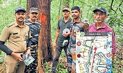 ಕಾಸರಗೋಡು ಕಾಡಿನಲ್ಲಿ ಹುಲಿಗಳಿಲ್ಲ; ಜಿಲ್ಲೆಯಲ್ಲಿ ಚಿರತೆ, ಆನೆ ಮಾತ್ರ