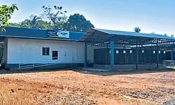 ಕಾಸರಗೋಡಿನಲ್ಲಿ ಬೀದಿನಾಯಿ ಹಾವಳಿ: ಆತಂಕದಲ್ಲಿ ಜನ