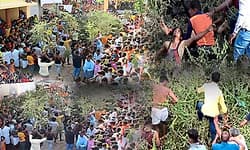 ಅಚಲ ಭಕ್ತಿಗೆ ಮುಳ್ಳೂ ಮೃದು: ಮೈ ಜುಂ ಎನಿಸುವ ಭಕ್ತಿಯ ಹರಕೆ