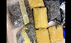 5 ದಿನದಲ್ಲಿ 11 ಪ್ರಯಾಣಿಕರಿಂದ 33.42 ಕೋಟಿ ರೂ. ಮೌಲ್ಯದ ಗಾಂಜಾ ವಶ