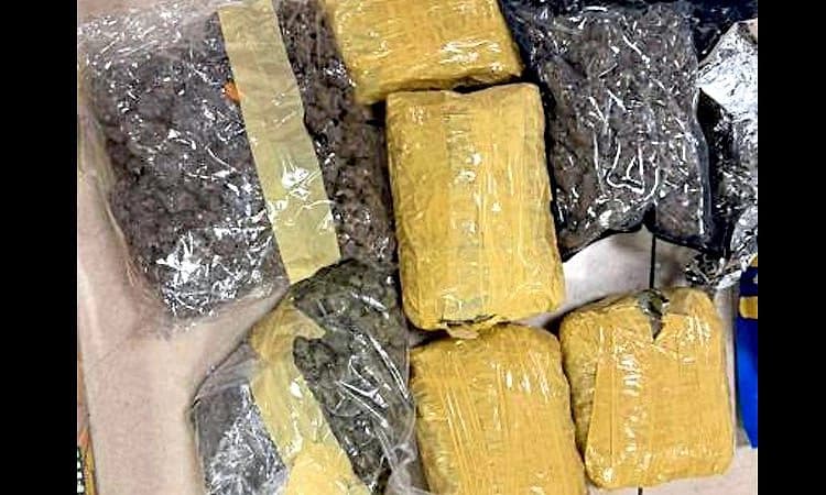 5 ದಿನದಲ್ಲಿ 11 ಪ್ರಯಾಣಿಕರಿಂದ 33.42 ಕೋಟಿ ರೂ. ಮೌಲ್ಯದ ಗಾಂಜಾ ವಶ