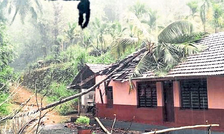 Strong winds and rain cause damage in Subrahmanya, power disruptions reported