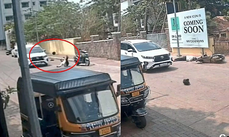 Mangaluru: Land dispute: Attempted murder by ramming a scooter