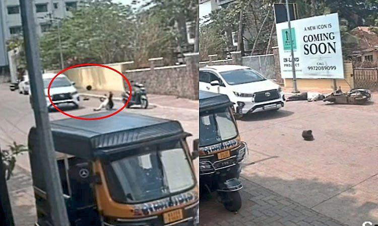 Mangaluru: ಭೂ ವ್ಯವಹಾರದ ಜಗಳ: ಸ್ಕೂಟಿಗೆ ಡಿಕ್ಕಿ ಹೊಡೆದು ಕೊಲೆ ಯತ್ನ