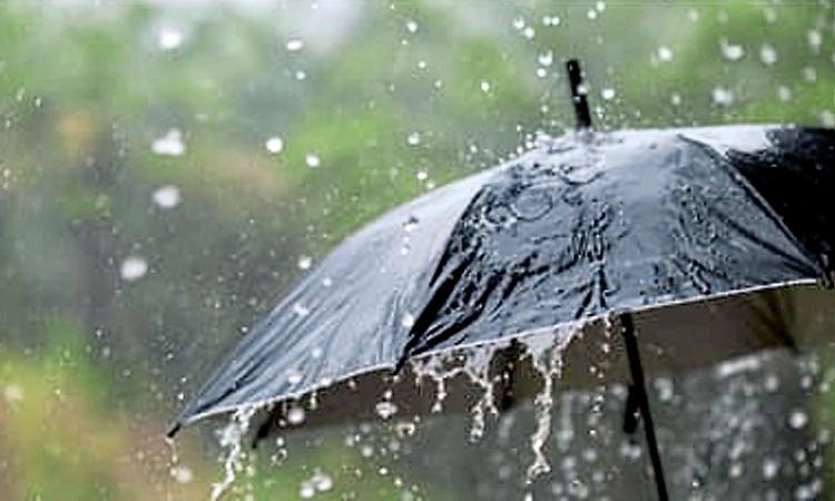 Gangavathi: ಅಕಾಲಿಕ ಗಾಳಿ- ಮಳೆ; ಧರೆಗುರುಳಿದ ಗಿಡಮರಗಳು !