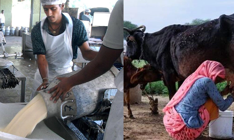 ಹಾಲು ಉತ್ಪಾದಕರಿಗೆ ಪ್ರತಿ ಲೀ.ಗೆ 2 ರೂ. ಹೆಚ್ಚಳ: ಕೋಮುಲ್‌