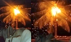 ಸಿಡಿಲಿಗೆ ಹೊತ್ತಿ ಉರಿದ ತೆಂಗಿನ ಮರ... ತಪ್ಪಿದ ದುರಂತ