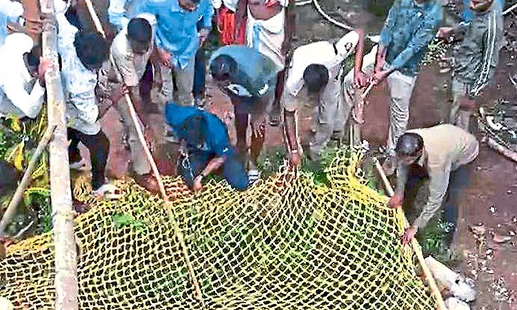 Leopard falls into well, escapes during rescue operation in Manipal