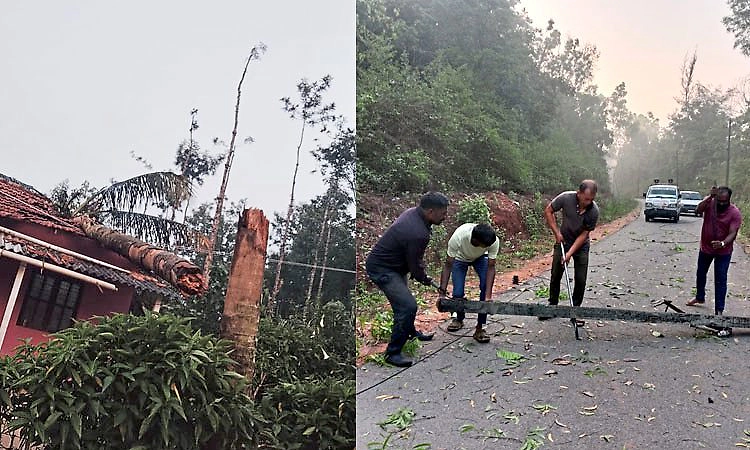 ಚಿಕ್ಕಮಗಳೂರು: ಕಾಫಿನಾಡಲ್ಲಿ ಮಳೆ ಅಬ್ಬರ; ಧರೆಗುರುಳಿದ ವಿದ್ಯುತ್‌ ಕಂಬ, ಮರಗಳು