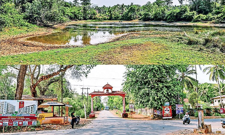 Manipal: ಕೆರೆ ಕಾಯಕಲ್ಪಕ್ಕೆ ಕಾಯುತ್ತಿದೆ ಶೆಟ್ಟಿಬೆಟ್ಟು