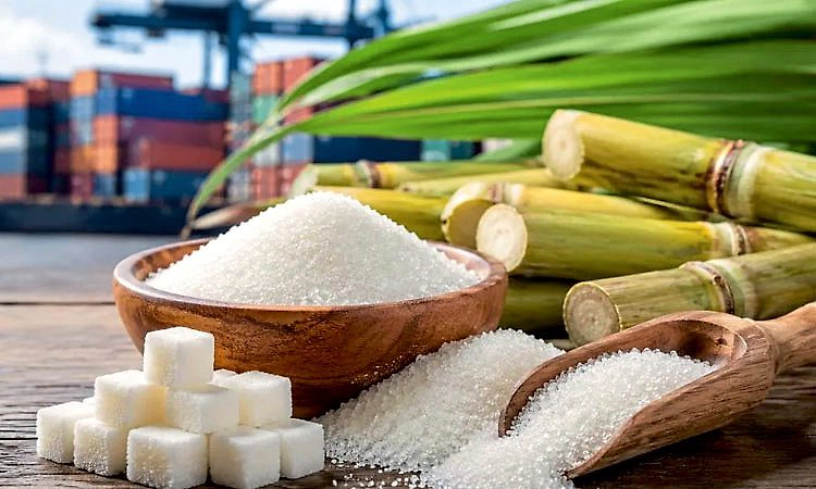 ಸಕ್ಕರೆ ರಫ್ತು ನಿಷೇಧ ಸಿಹಿಯೋ? ಕಹಿಯೋ?