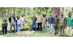 Nagarhole: ಹುಲಿ ಕಳೇಬರ ಪತ್ತೆ, ಮತ್ತೊಂದು ಹುಲಿಯೊಂದಿಗೆ ಕಾದಾಡಿ ಸಾವನ್ನಪ್ಪಿರುವ ಶಂಕೆ