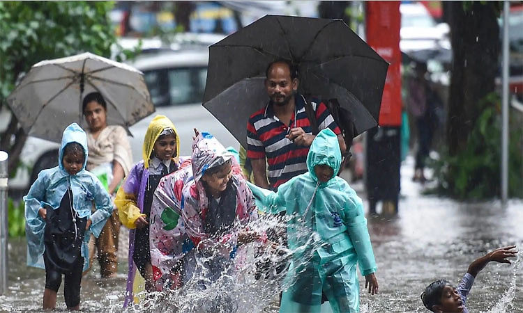 ಮಳೆಗಾಲ... ಮಕ್ಕಳ ಆರೋಗ್ಯ  ಜೋಪಾನ! ಮಳೆಗಾಲದಲ್ಲಿ ಹೆಚ್ಚಾಗಿ ಕಾಡುವ ರೋಗಗಳ ಲಕ್ಷಣಗಳೇನು