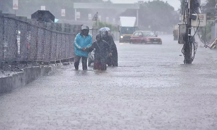Rain: 11 ಜಿಲ್ಲೆಗಳಲ್ಲಿ ಇಂದು ಉತ್ತಮ ಮಳೆ ನಿರೀಕ್ಷೆ