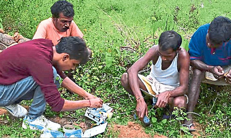 ಮಾನವ-ಆನೆ ಸಂಘರ್ಷ ತಡೆಗೆ ಎಐ ಉಪಕರಣ!