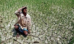 Karnataka faces 24% rainfall deficit: Bengaluru South worst hit