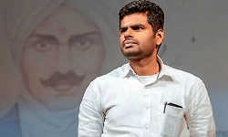 Gujarat-centric Delhi development model must change: K Annamalai criticises BJP