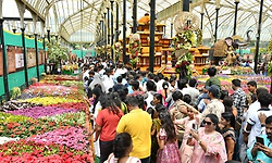Bengaluru: ಲಾಲ್‌ಬಾಗ್‌ ಫಲಪುಷ್ಪ ಮೇಳ: 1.4 ಲಕ್ಷ ಜನ ಭೇಟಿ, ಇಂದು ಕಡೇ ದಿನ