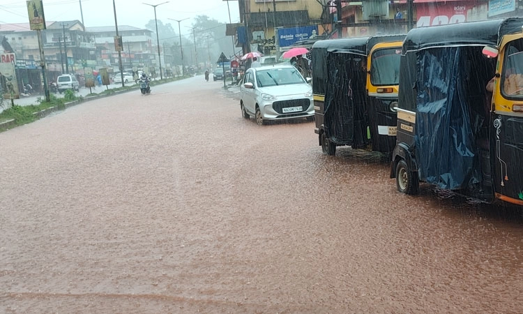 Rain; ಸಿದ್ದಾಪುರ ಪರಿಸರದಲ್ಲಿ ಭಾರೀ ಮಳೆ; ವಾಹನ ಸವಾರರ ಪರದಾಟ