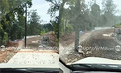 Concrete laid without removing electricity pole: Sulkeri repeats Sullia mistake