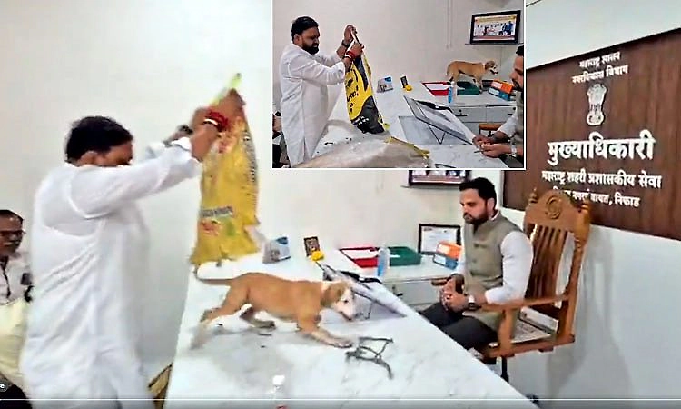 ಅಧಿಕಾರಿಯ ಟೇಬಲ್‌ ಮೇಲೆಯೇ ಬೀದಿ ನಾಯಿಗಳನ್ನು ಬಿಟ್ಟ ಯುವಸೇನಾ ಕಾರ್ಯಕರ್ತರು!