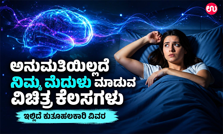 ಅನುಮತಿಯಿಲ್ಲದೆ ನಿಮ್ಮ ಮೆದುಳು ಮಾಡುವ ವಿಚಿತ್ರ ಕೆಲಸಗಳು: ಇಲ್ಲಿದೆ ಕುತೂಹಲಕಾರಿ ವಿವರ
