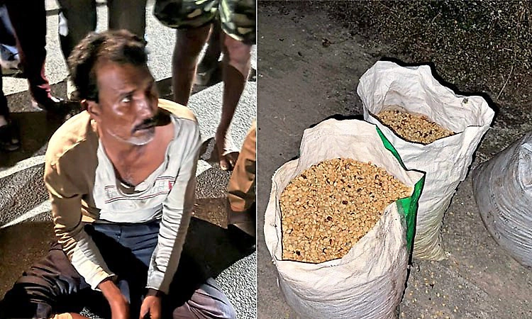 Hassan: Villagers catch three coffee thieves red-handed, Hand them over to police
