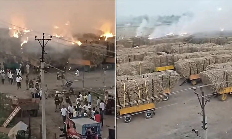 ಕಬ್ಬಿಗೆ ಬೆಂಕಿ ಘಟನೆ: 3 ಪ್ರತ್ಯೇಕ ಕೇಸ್‌ ದಾಖಲು, 10 ಜನರ ವಿಚಾರಣೆ