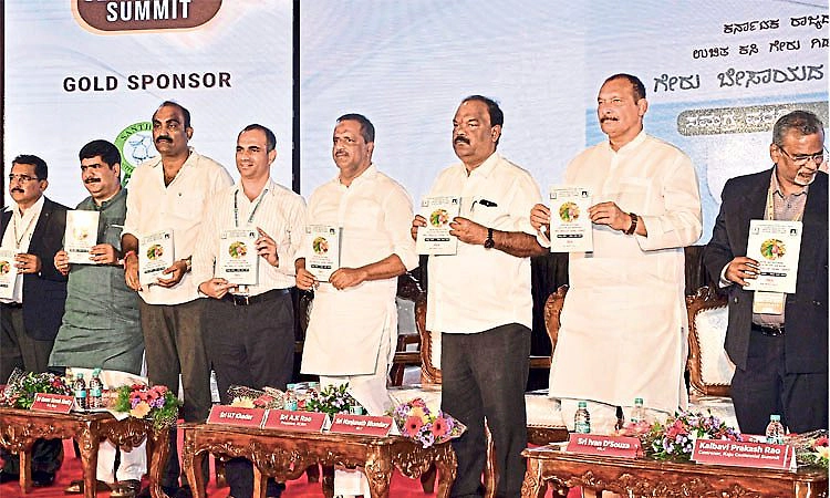 Mangaluru: ಗೇರು ಅಭಿವೃದ್ಧಿಗೆ ಬಜೆಟ್‌ನಲ್ಲಿ ಅನುದಾನಕ್ಕೆ ಪ್ರಸ್ತಾವ: ಯು.ಟಿ. ಖಾದರ್‌