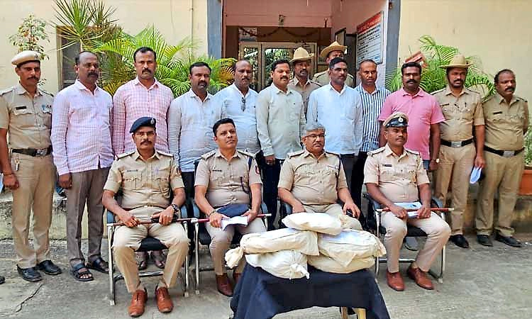 Gangavathi: ಪೊಲೀಸರ ಭರ್ಜರಿ ಬೇಟೆ: 2.80 ಲಕ್ಷ ಮೌಲ್ಯದ ಗಾಂಜಾ ವಶ, ನಾಲ್ವರ ಬಂಧನ