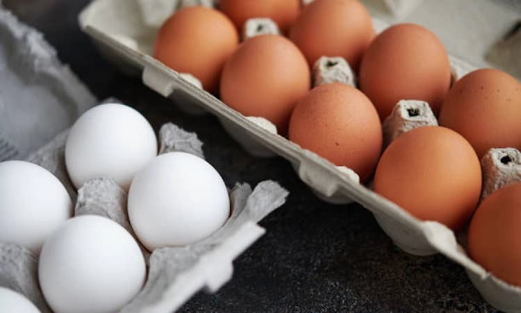 Karnataka collects samples to test claims about cancer causing substances in eggs