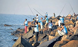 Mangaluru to host unique sea fishing competition after eight years