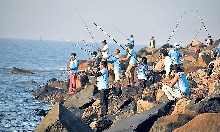 Mangaluru to host unique sea fishing competition after eight years