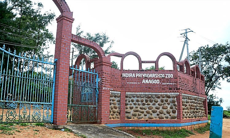 Davanagere: ಇಂದಿರಾ ಪ್ರಿಯದರ್ಶಿನಿ ಕಿರು ಮೃಗಾಲಯ ತಾತ್ಕಾಲಿಕ ಬಂದ್‌